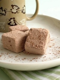 Super Easy Chocolate Marshmallow Recipe on http://www.theculinarylife.com