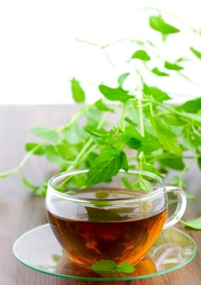 How to Make Mint Tea on http://www.theculinarylife.com