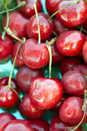 strawberry-cherries2