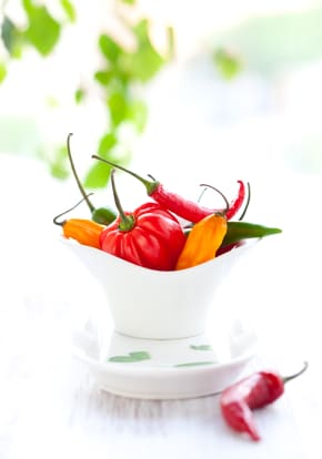 Tuesday with Terry: Peppers, the Gateway Food on http://www.theculinarylife.com