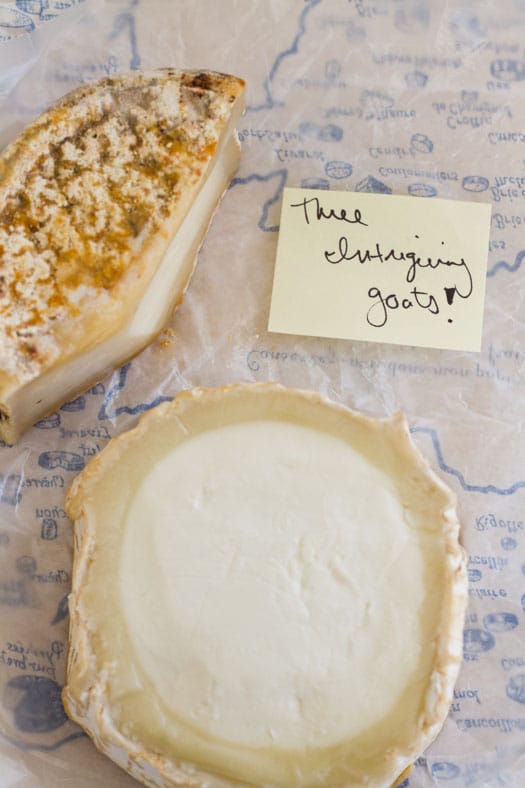 Three Intriguing Goat's Milk Cheeses on http://www.theculinarylife.com