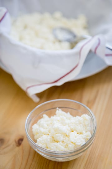 How to make cottage cheese at home, the easy way!
