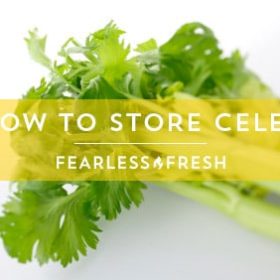 Best Way to Store Celery on https://www.fearlessfresh.com