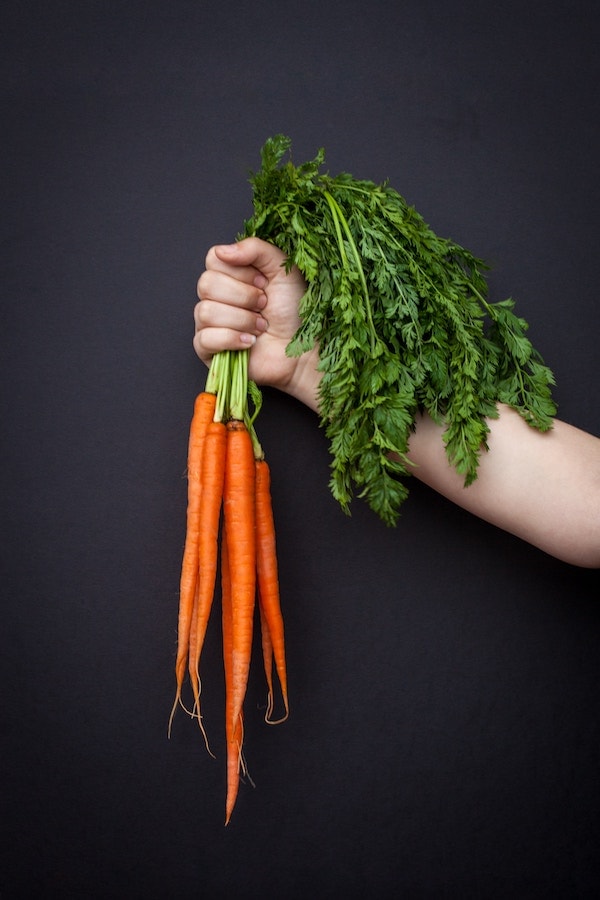 Carrots in Hand